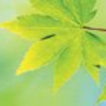 All Seasons Heating & Cooling - All Seasons Heating and Cooling - Heating & Air Conditioning/HVAC Near Me - Albertville, Alabama All Seasons Heating & Cooling - All Seasons Heating and Cooling - Heating & Air Conditioning/HVAC Near Me - Albertville, Alabama