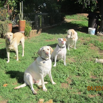 Paws & Claws - Pet Sitting Near Me - Fallbrook, California