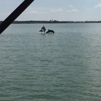 Dolphin Connection - Boat Tours Near Me - Ingleside, Texas Dolphin Connection - Boat Tours Near Me - Ingleside, Texas