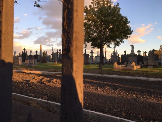 Calvary Cemetery by null