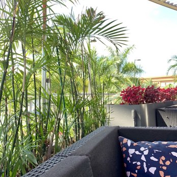 Earls Kitchen + Bar - Outdoor patio - New American Near Me - Miami, Florida
