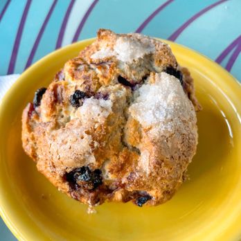 Talk Kaimuki - blueberry scone - Coffee & Tea Near Me - Honolulu, Hawaii Talk Kaimuki - blueberry scone - Coffee & Tea Near Me - Honolulu, Hawaii