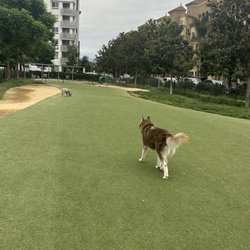 Jacaranda Park