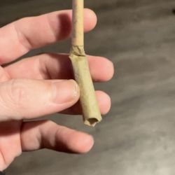 Green Cross ATX - The first sign that my preroll might not be what I was expecting.