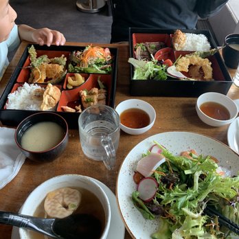 Moon Tree Sushi And Tapas - Sashimi salad; beef bento and salmon bento - Sushi Bars Near Me - Seattle, Washington Moon Tree Sushi And Tapas - Sashimi salad; beef bento and salmon bento - Sushi Bars Near Me - Seattle, Washington