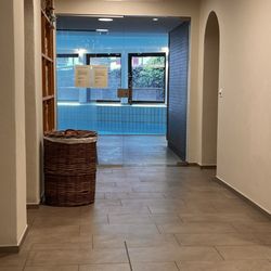 Hotel Alpina Klosters  - Entry to indoor pool