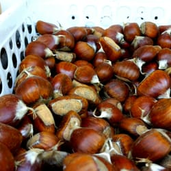 ABC Produce Market - Chestnuts in the winter