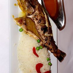 Tejo Restaurant & Bar - Grilled red snapper