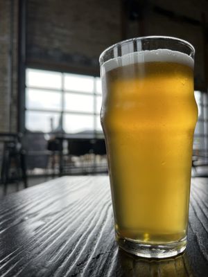 Forgotten Star Brewing Co. by null