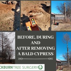 Blackburn Tree surgery - Full removal stump ground away also. #treetrimmimg #treeremoval #besttreeservice
