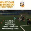 M8F Weight Loss gift card