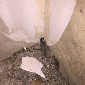 Public Storage - Mouse door, hair, piss, and poop. - Self Storage Near Me - Syosset, New York