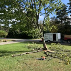 RB Landscape & Landcare - Trimming trees