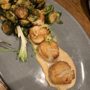 Paddlefish - Seafood Near Me - Orlando, Florida Paddlefish - Seafood Near Me - Orlando, Florida