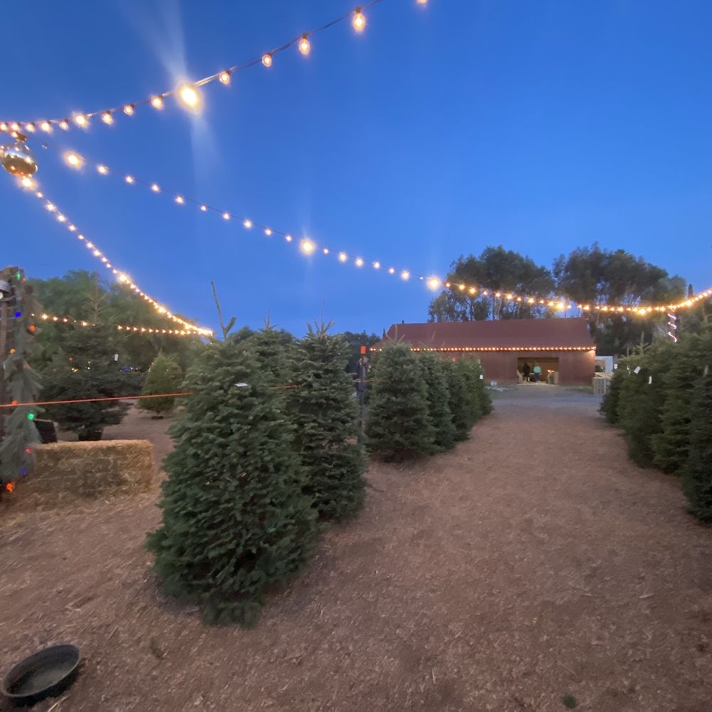 The Vineyard 1924 - Christmas trees - Christmas Trees Near Me - Fallbrook, California