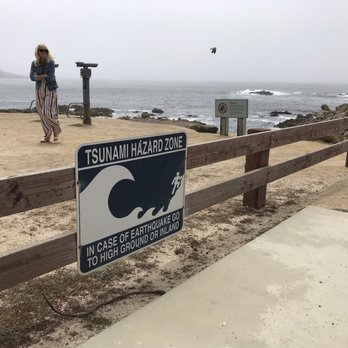 Bird Rock - Tsunami Hazard Zone - Beaches Near Me - Pebble Beach, California