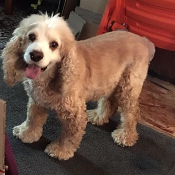 Longevity Veterinary Center - A happy patient! - Veterinarians Near Me - Whippany, New Jersey