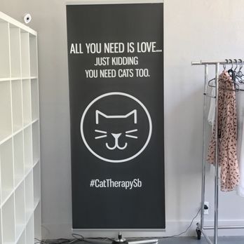 Cat Therapy - Pet Adoption Near Me - Santa Barbara, California Cat Therapy - Pet Adoption Near Me - Santa Barbara, California