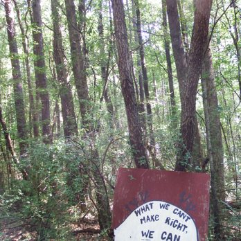Constitution Lakes Park and Wilderness Area - before the trail - Parks Near Me - Atlanta, Georgia Constitution Lakes Park and Wilderness Area - before the trail - Parks Near Me - Atlanta, Georgia