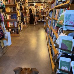 A Book For All Seasons - Dog at the bookstore!