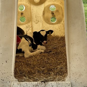 Perrydell Farm and Dairy - Ice Cream & Frozen Yogurt Near Me - York, Pennsylvania