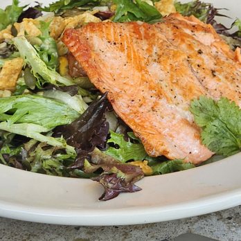 Ruscello at Nordstrom - Salmon salad - Mediterranean Near Me - Honolulu, Hawaii Ruscello at Nordstrom - Salmon salad - Mediterranean Near Me - Honolulu, Hawaii