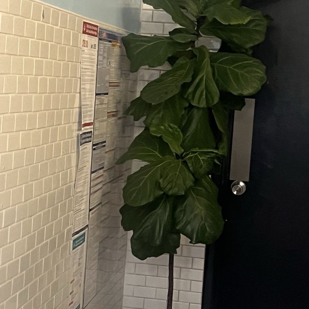 Do-Re-Mi - Planted on the corner against the walll - Asian Fusion Near Me - San Francisco, California Do-Re-Mi - Planted on the corner against the walll - Asian Fusion Near Me - San Francisco, California