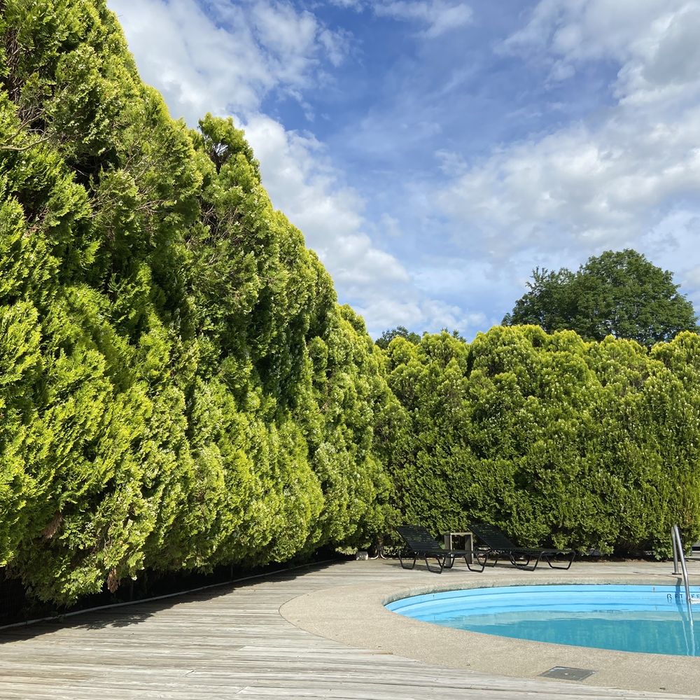 The Graham & Co - Hotels Near Me - Phoenicia, New York The Graham & Co - Hotels Near Me - Phoenicia, New York