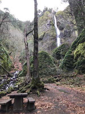 Starvation Creek Falls by null