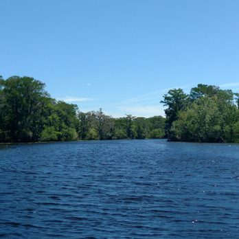 Ultimate Swamp Adventures - Tours Near Me - Westwego, Louisiana Ultimate Swamp Adventures - Tours Near Me - Westwego, Louisiana