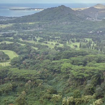 Nuuanu Pali Lookout - Local Flavor Near Me - Kaneohe, Hawaii Nuuanu Pali Lookout - Local Flavor Near Me - Kaneohe, Hawaii