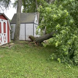 Chase Crockett Tree Care - Down tree due to storm damage