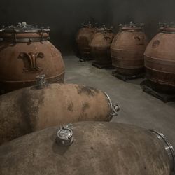 Coursey Graves Estate Winery - Terra cotta aging barrels