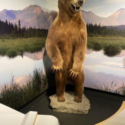 Nature's Table - Be sure and visit Cook Museum after lunch!