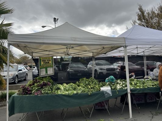 Irvington Farmers' Market by null