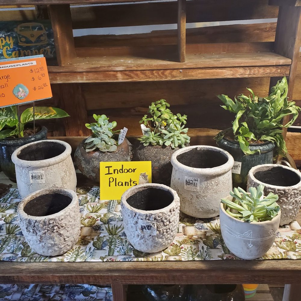 Covington Creek Nursery - Nurseries & Gardening Near Me - Auburn, Washington Covington Creek Nursery - Nurseries & Gardening Near Me - Auburn, Washington