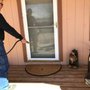 Photo of Bug Master