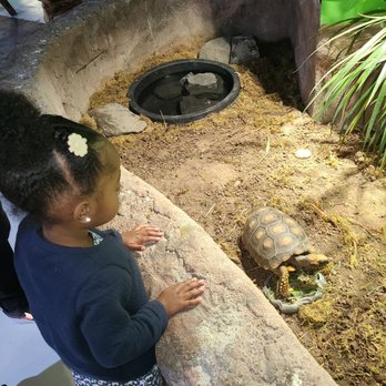 Austin Aquarium - Aquariums Near Me - Austin, Texas