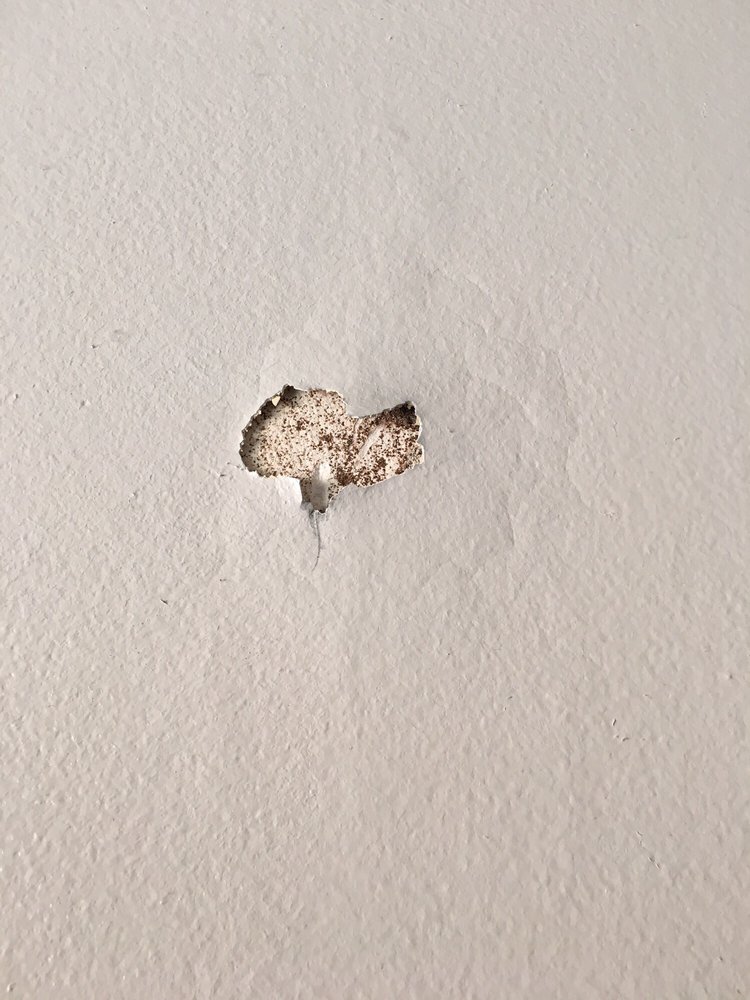 JENNINGS TERMITE & PEST CONTROL Updated October 2024 30 Reviews