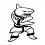 Photo of Action Karate
