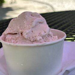 Park Ridge Creamery - Strawberry and black cherry chunks: solid! Love the little chunks :)