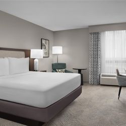 DoubleTree by Hilton Hotel Philadelphia Airport - Guest room