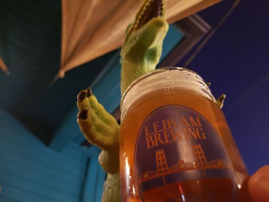 Leikam Brewing by null