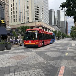 The free bus.