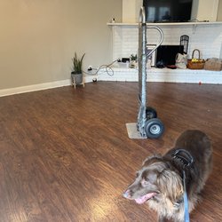 Movers Plus - Living room cleared of all items!