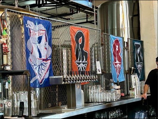 Root Down Brewing Company by null