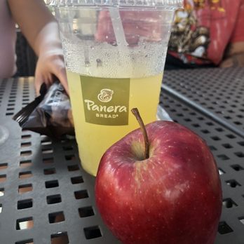 Panera Bread - The gross Apple you give your 1st grade rates her..highly offensive. I was hoping for Fuji.. - Sandwiches Near Me - Encino, California Panera Bread - The gross Apple you give your 1st grade rates her..highly offensive. I was hoping for Fuji.. - Sandwiches Near Me - Encino, California