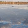 Photo of Bumps Lakeside