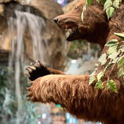 Bass Pro Shops - The iconic taxidermic bear awaits shoppers