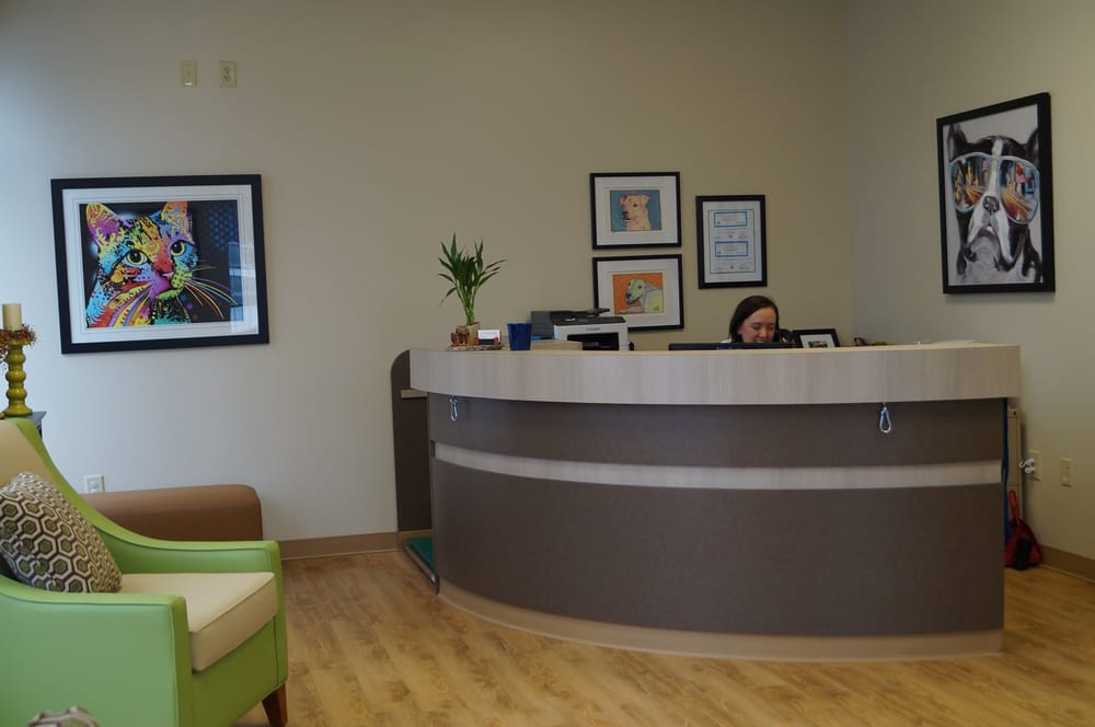 HEALING PAWS VETERINARY HOSPITAL Updated August 2024 17 Reviews